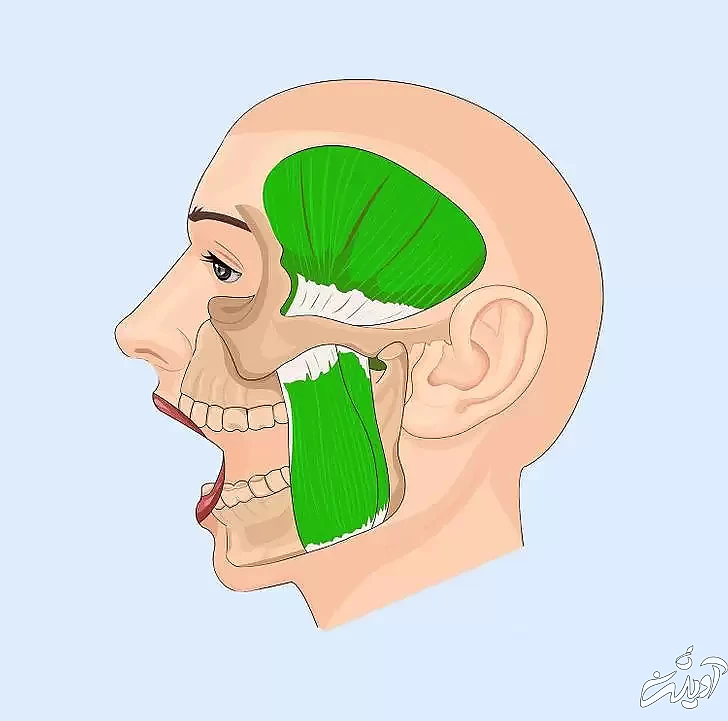 8 راز مهیج درمورد بدن انسان که احتمالاً نشنیده ‎اید